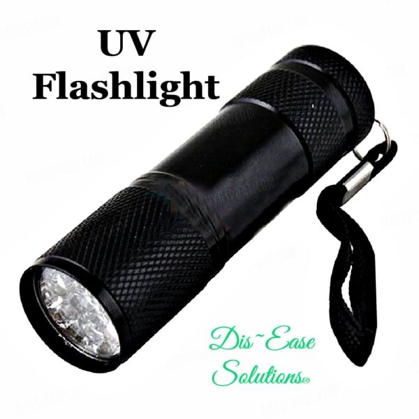 UV Flashlight