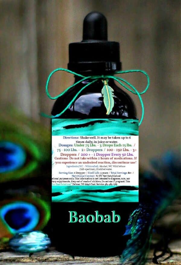 Baobab - Image 2