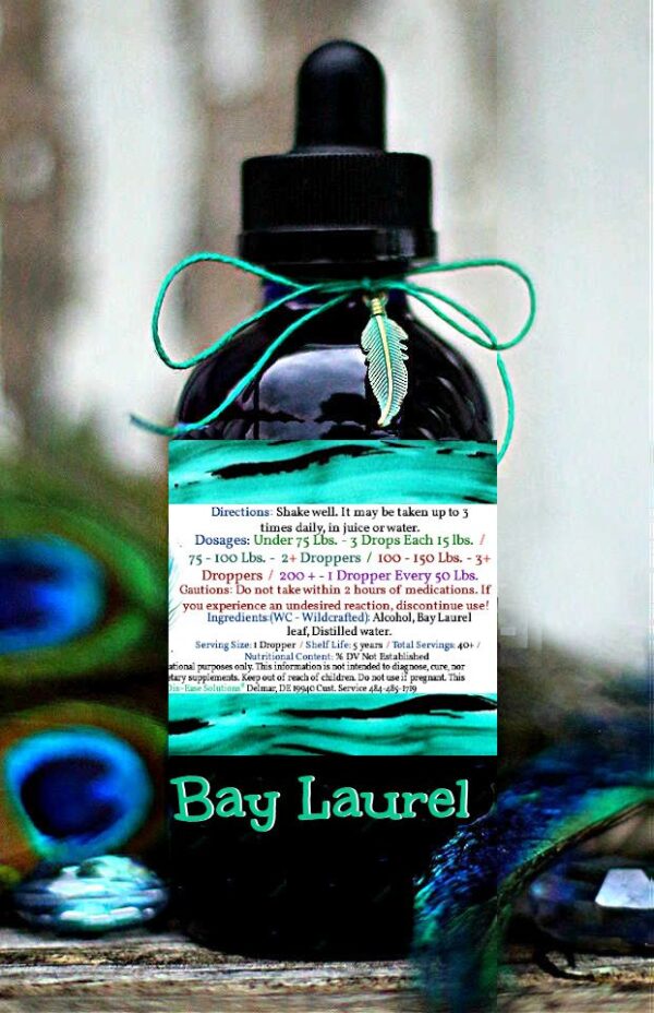 Bay Leaf - Image 2