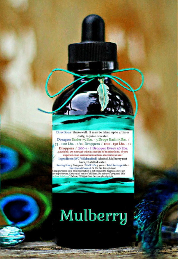 Mulberry - Image 2