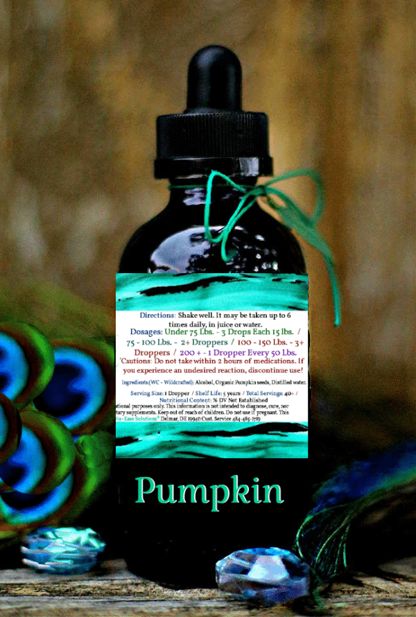 Pumpkin Seed - Image 2