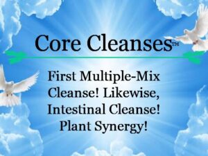 Core Cleanses™