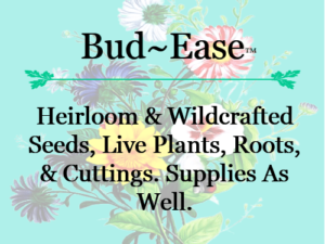 Bud~Ease™