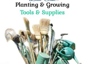 Gardening Tools & Supplies