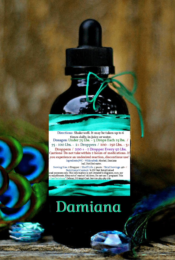 Damiana - Image 2