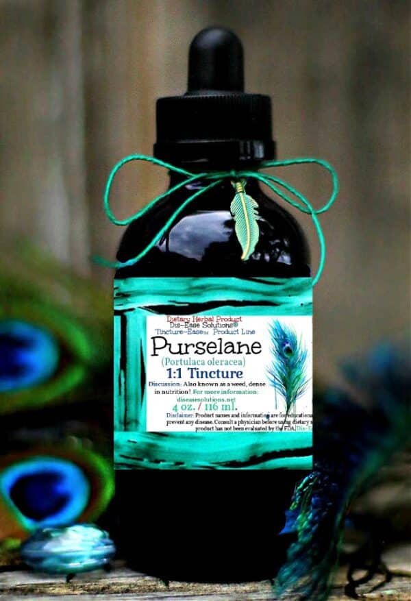 Purselane